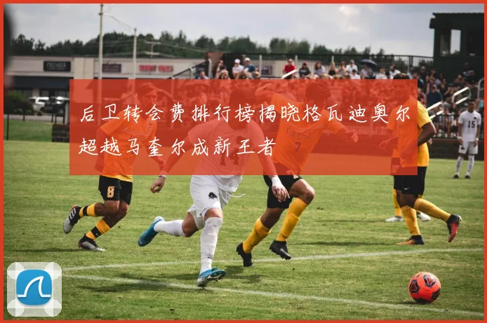 后卫转会费排行榜揭晓格瓦迪奥尔超越马奎尔成新王者