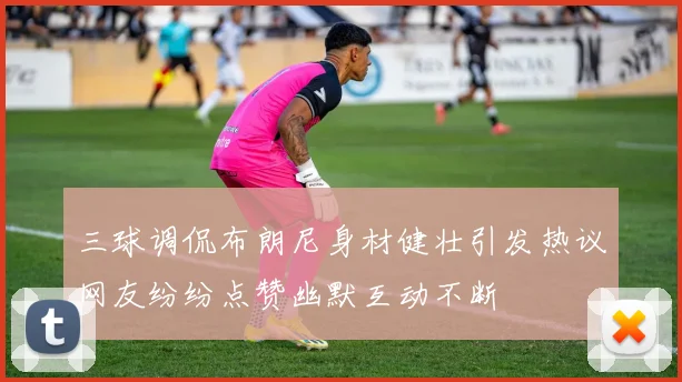 三球调侃布朗尼身材健壮引发热议网友纷纷点赞幽默互动不断
